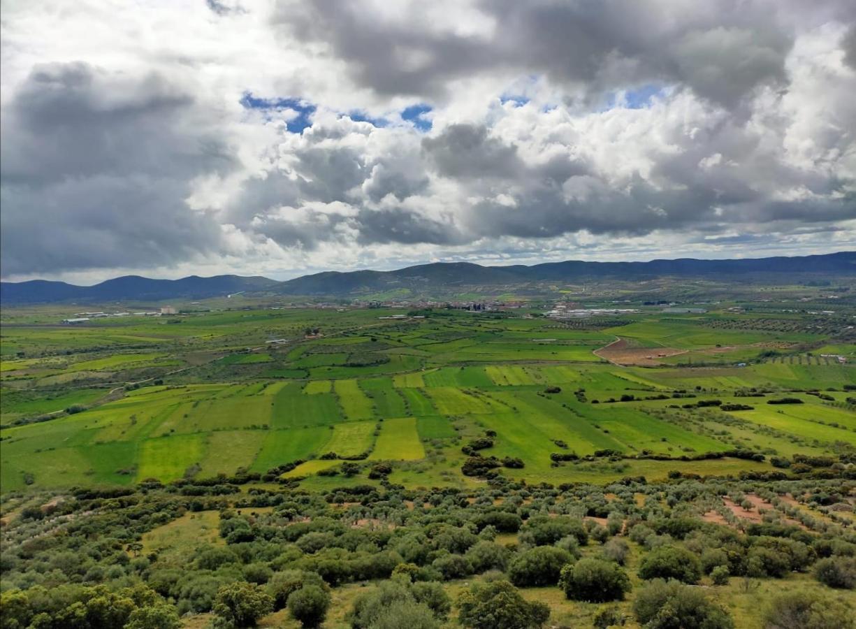 Casa Rural En El Cerro Del Buho Piedrabuena Luaran gambar