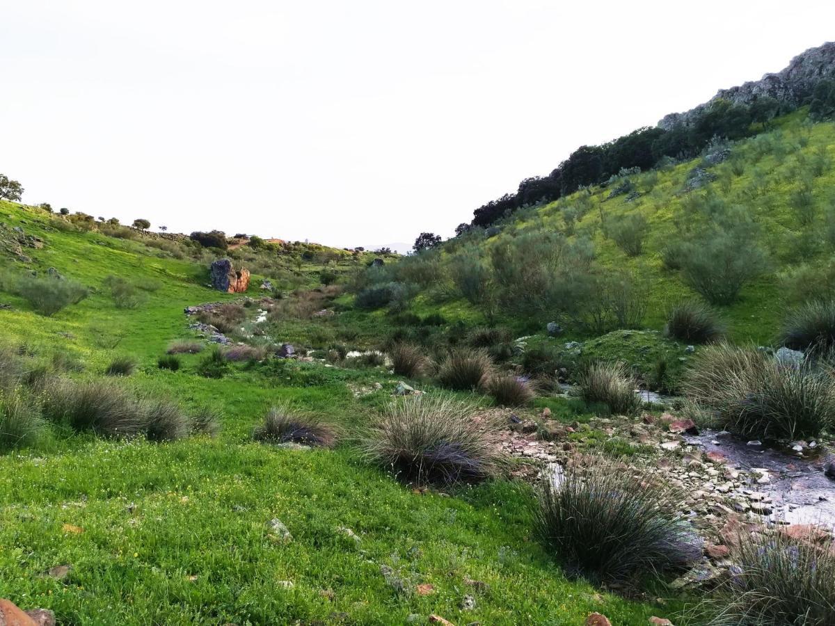 Casa Rural En El Cerro Del Buho Piedrabuena Luaran gambar